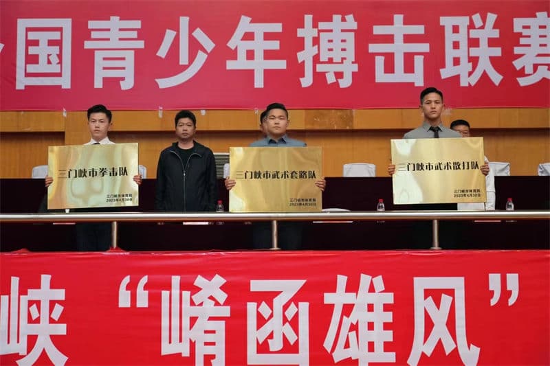 中國青少年搏擊聯賽